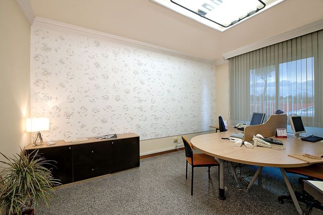 Gesso Pellino - lavorazione